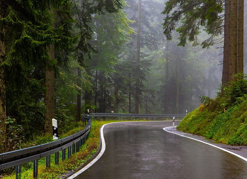 Famous-forest-in-the-center-of-Europe